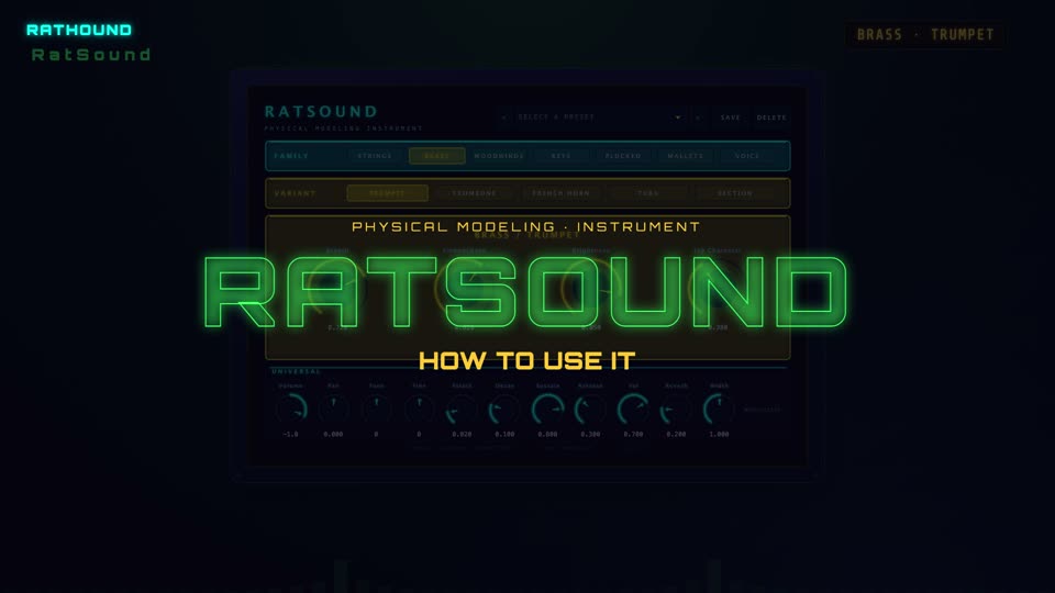RatSound how-to video